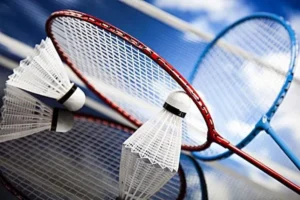 Bật Mí Cách Chơi Cá Cược Cầu Lông Tại Fan52 Thắng Lớn