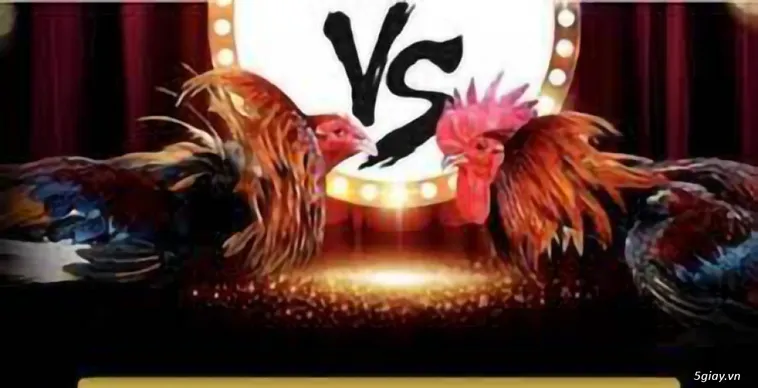 Đá Gà Fan52 Đấu Trường Kê Vương Bất Tận Cho Mọi Cược Thủ