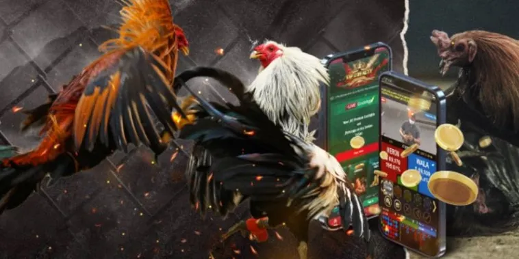 Bật Mí Cách Chơi Đá Gà GA28 Tại Fan52 Chuẩn Xác Như Chuyên Gia