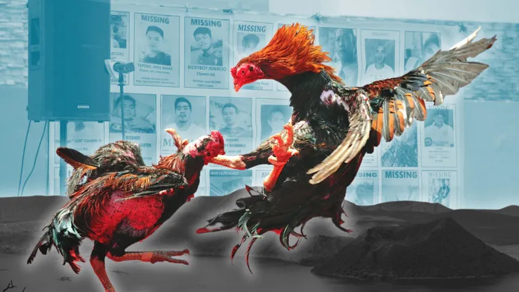 Khám Phá Cách Chơi Đá Gà Sabong Tại Fan52 Thắng Lớn Mỗi Ngày