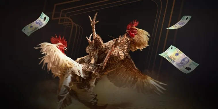 Đá Gà Fan52 Đấu Trường Kê Vương Bất Tận Cho Mọi Cược Thủ