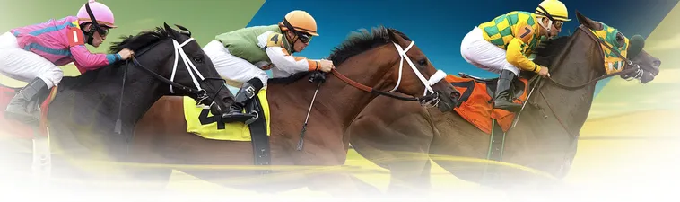 Tìm Hiểu Cá Cược Đua Ngựa Fan52 Và Bí Quyết Thắng Lớn 1 Tìm Hiểu Cá Cược Đua Ngựa Fan52 Và Bí Quyết Thắng Lớn